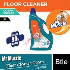 Floor Cleaner, Mr Muscle  Floor Cleaner 3.7 L (Ocean)