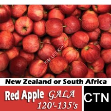 Red Apple 120'-135'ss(GALA - New Zealand or South Africa) - in CTN
