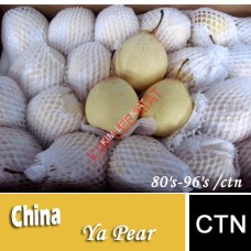 YA PEAR ( CHINA) -80's-96's /ctn 