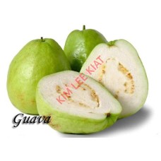 Guava 800g to 1 kg (3 to 4 pcs)
